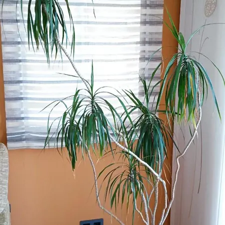 Apartament Apartamento Clausurado Cervo (Lugo)