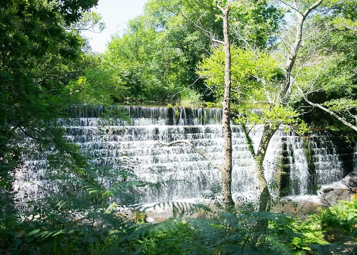 Ensan Ciprian Con Vistas Al Mar アパート *